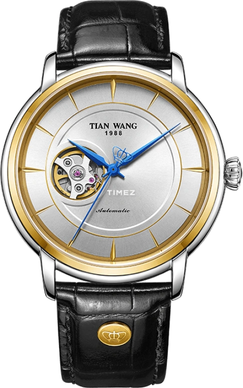 TianWang,Permanent ,Stainless Steel,Silver,Grey,Automatic,Sapphire,Crystal Glass,Round,GS5941T,GS5941T.LB.W-1