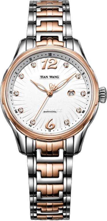 TianWang Leader LS5769TP/D-1