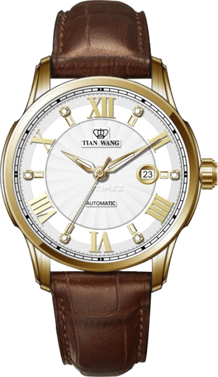 TianWang,Cardiac ,Stainless Steel,White,Automatic,Day,Sapphire,Glass,LS5895G,LS5895G/D
