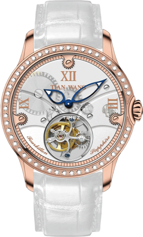 TianWang,Tianjue Tourbillon ,Stainless Steel,White,Handwound,Tourbillon,Sapphire,Crystal Glass,LS5860P
