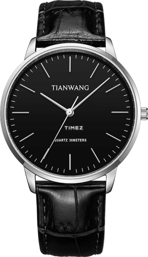 TianWang Sea GS31192S.LB.B.A