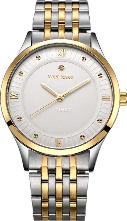 TianWang Other LS3801T