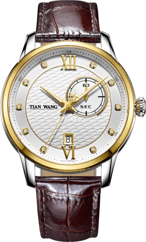 TianWang Leader GS3767T/DD