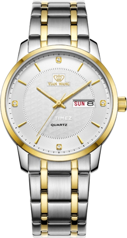 TianWang Other GS3925T/DD