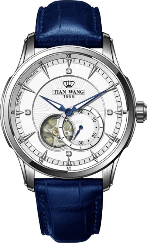 TianWang Round Times GS5963S/D-A-1