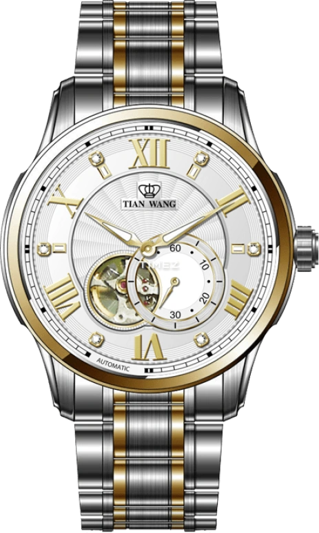 TianWang,Cardiac ,Stainless Steel,White,Automatic,Sapphire,Crystal Glass,Round,GS5896T,GS5896T/D