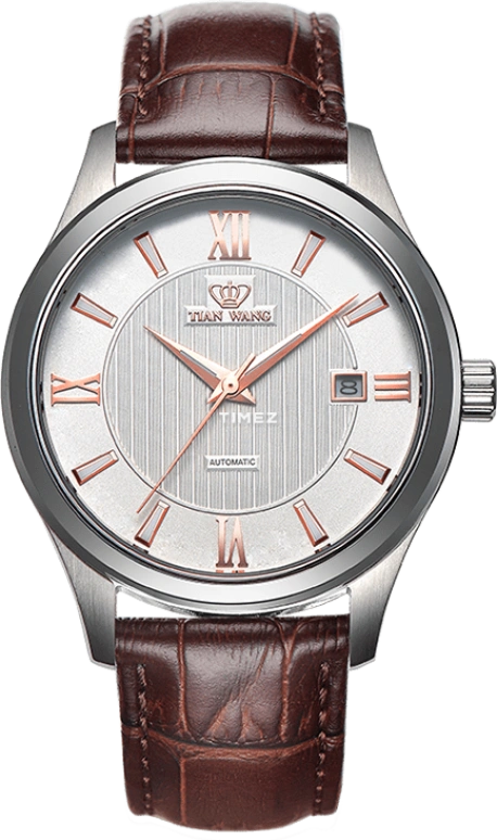 TianWang,Other 40mm,40mm,Stainless Steel,White,Automatic,Day,Sapphire,Glass,GS5750S,GS5750S/D-A