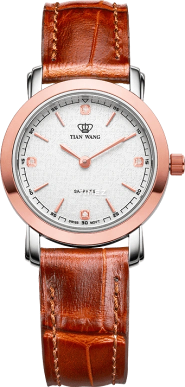 TianWang Golden Knight 61189