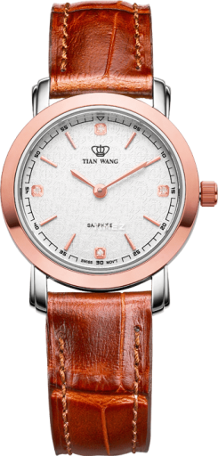 TianWang Golden Knight 61189