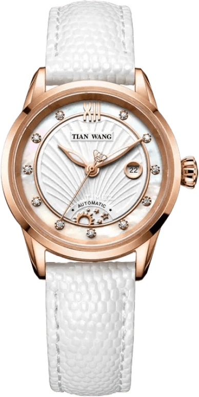 TianWang Leader LS5841P/D