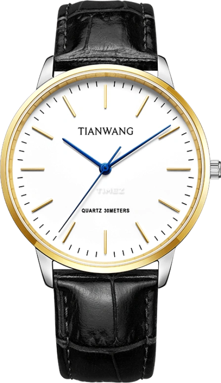 TianWang,Sea 40mm,40mm,Stainless Steel,White,Quartz,Crystal Glass,Round,GS31192T,GS31192T.LB.W.A