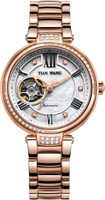 TianWang Shine LS5870P-1