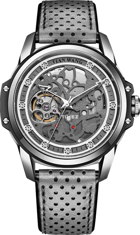 TianWang X GS51114BS.LA.A