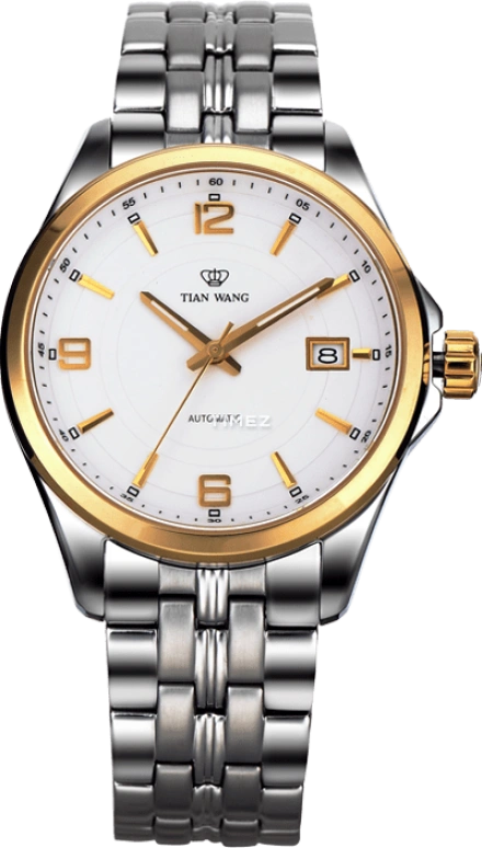 TianWang,Other ,Stainless Steel,White,Automatic,Day,Sapphire,Glass,GS5730T,GS5730T/D