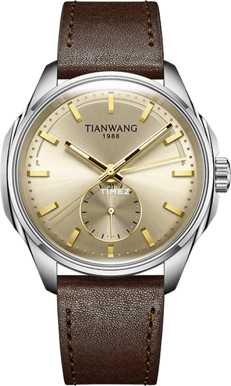 TianWang Leader GS51587S.D.LC.G