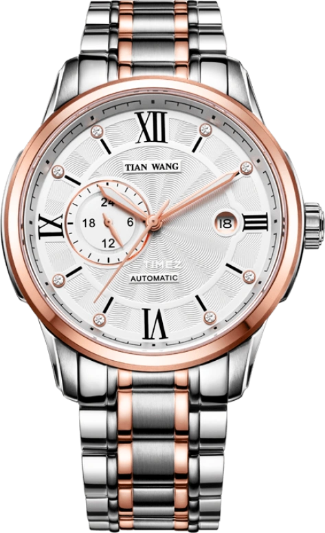 TianWang,Cardiac ,Stainless Steel,White,Automatic,Day,Sapphire,Glass,GS5790TP,GS5790TP/DD