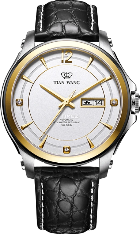 TianWang INOVATION GG51053CTB.DD.LB.S