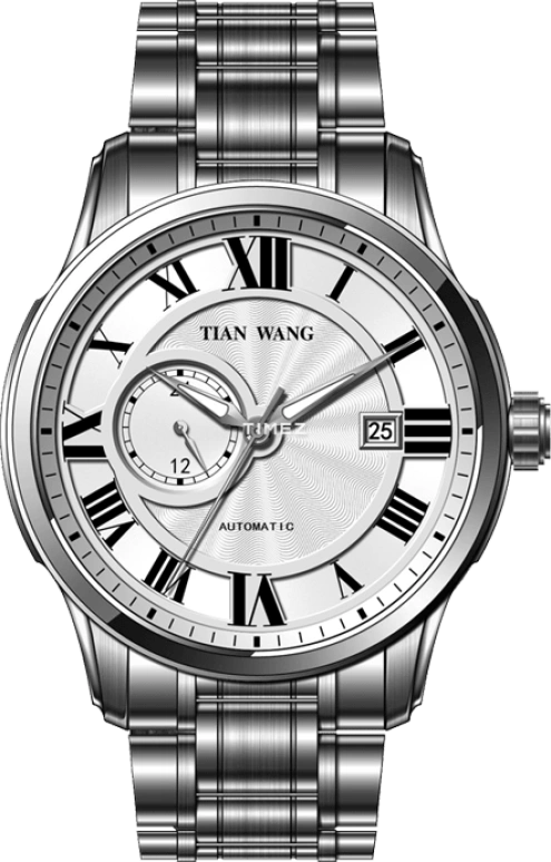 TianWang,Cardiac ,Stainless Steel,White,Automatic,Day,Sapphire,Glass,GS5901S,GS5901S/DD-A