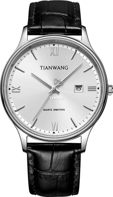 TianWang,Sea 40mm,40mm,Stainless Steel,Silver,Quartz,Day,Hardlex,Glass,GS31533S,GS31533S.D.LB.S
