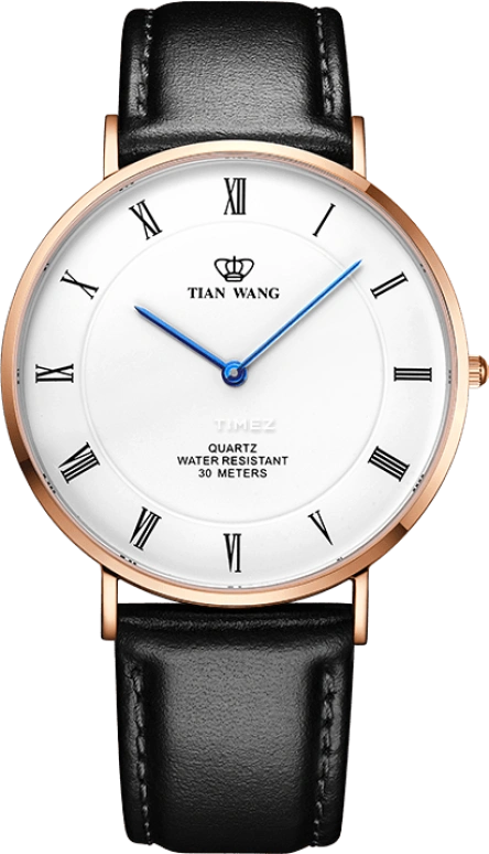 TianWang,TWINKLE ,Stainless Steel,White,Quartz,Sapphire,Glass,Round,GS3970P,GS3970P-C