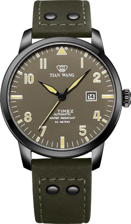 TianWang,Other ,Stainless Steel,Brown,Automatic,Day,Sapphire,Glass,GS5928B,GS5928B/D
