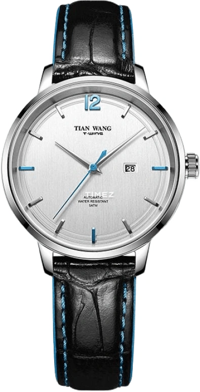 TianWang Other LS51073S.D.LB.S