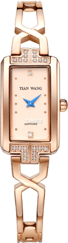 TianWang Star LS3853P-A