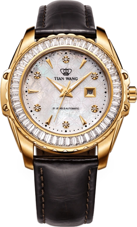 TianWang Pioneer＆Fashionable LS5677G/D