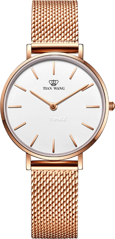 TianWang TWINKLE LS31021P.P.W