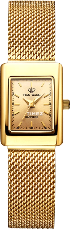 TianWang,Other ,Stainless Steel,Gold,Quartz,Sapphire,Glass,Square,LS3159G,LS3159G-1