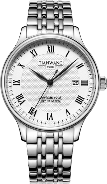 TianWang,Other 41.50mm,41.50mm,Stainless Steel,Silver White,Automatic,Day,Sapphire,Crystal Glass,GS51202S,GS51202S.D.S.W