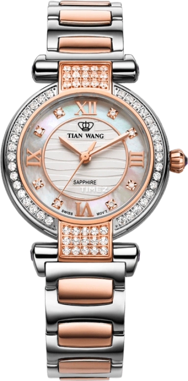 TianWang Shine LS3661TP
