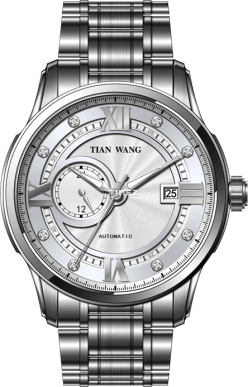 TianWang,Cardiac ,Stainless Steel,White,Automatic,Day,Sapphire,Glass,GS5900S,GS5900S/DD-A