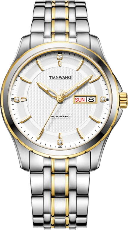 TianWang,MOUNTAINS 41mm,41mm,Stainless Steel,White,Automatic,Date,Day,GS51396T,GS51396T.DD.T.W
