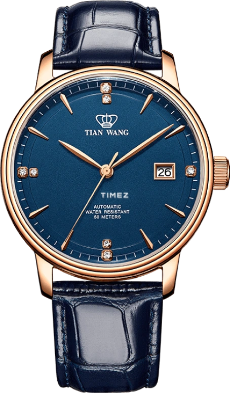 TianWang Kunlun GS51001P.D.LU.U