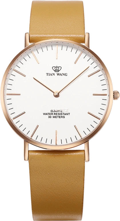 TianWang TWINKLE LS3851P-A
