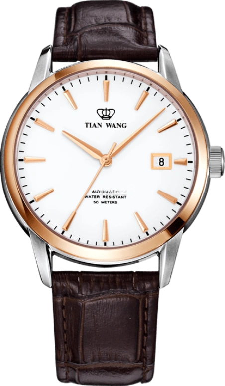 TianWang Shine GS5919TP/D