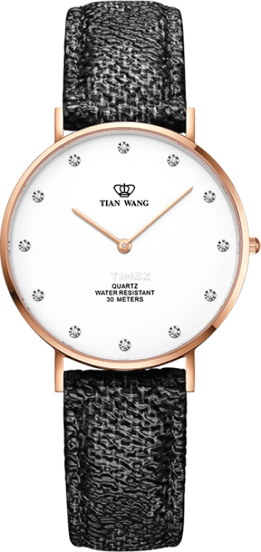 TianWang TWINKLE LS3968P-E