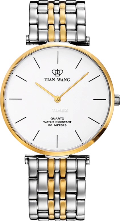 TianWang TWINKLE GS3910T