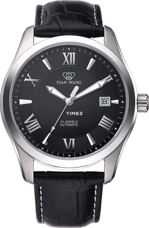 TianWang,Other ,Stainless Steel,Black,Automatic,Day,Sapphire,Glass,GS5749S,GS5749S/D