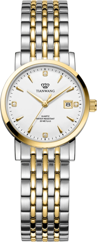 TianWang Other LS3690T/D-B
