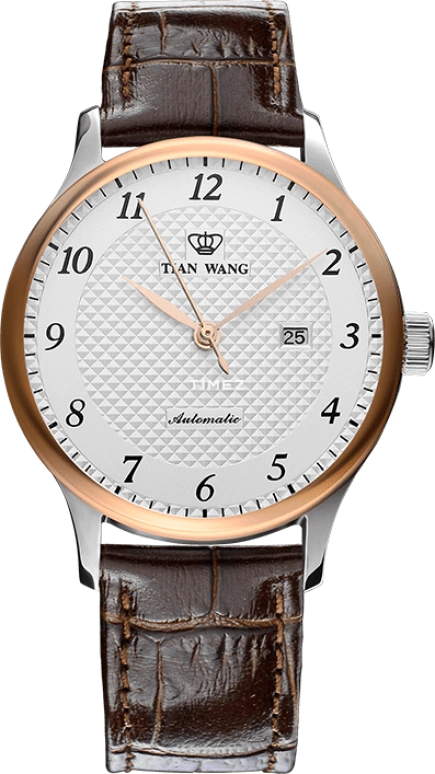 TianWang Other LS5877TP/D