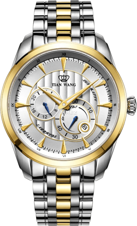 TianWang Leader GS5862T/3D