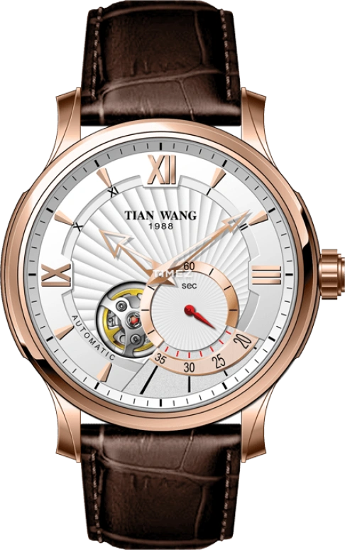 TianWang Round Times GS5946P.D.LC.W-1
