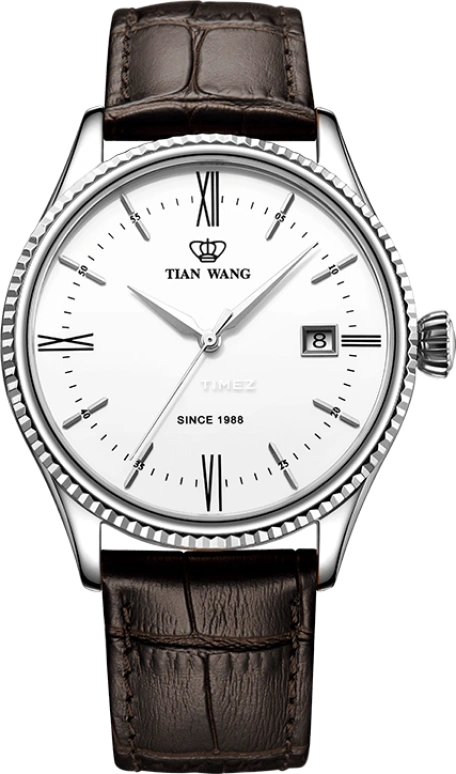TianWang,Kunlun 39mm,39mm,Stainless Steel,White,Automatic,Day,Sapphire,Glass,GS5885S,GS5885S/D-A