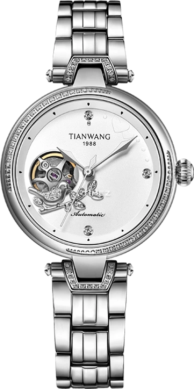 TianWang Star LS51147S.S.W