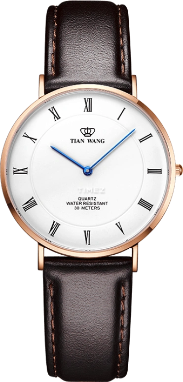 TianWang TWINKLE LS3970P-A