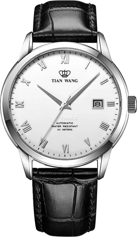 TianWang,Kunlun ,Stainless Steel,White,Automatic,Day,Sapphire,Glass,GS5918S,GS5918S/D-A