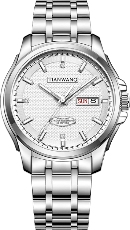 TianWang,MOUNTAINS 42mm,42mm,Stainless Steel,Silver White,Automatic,Date,Day,GS51507S,GS51507S.DD.S.S