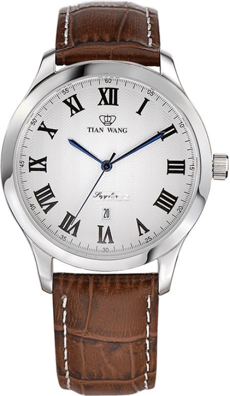 TianWang,Other ,Stainless Steel,White,Quartz,Day,Sapphire,Glass,GS3687S,GS3687S/D